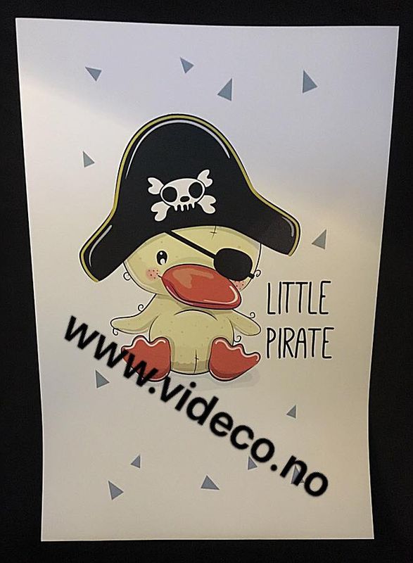 Little pirat, Bilde m/ramme